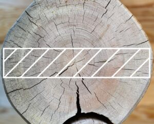 Cross section of a timber log with a beam's cross section drawn on it.