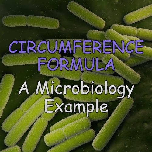 microbiology_thumbnail